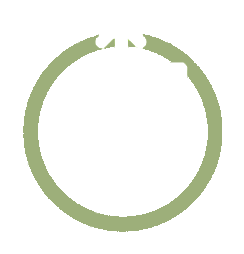 Accurate and Timely Icon